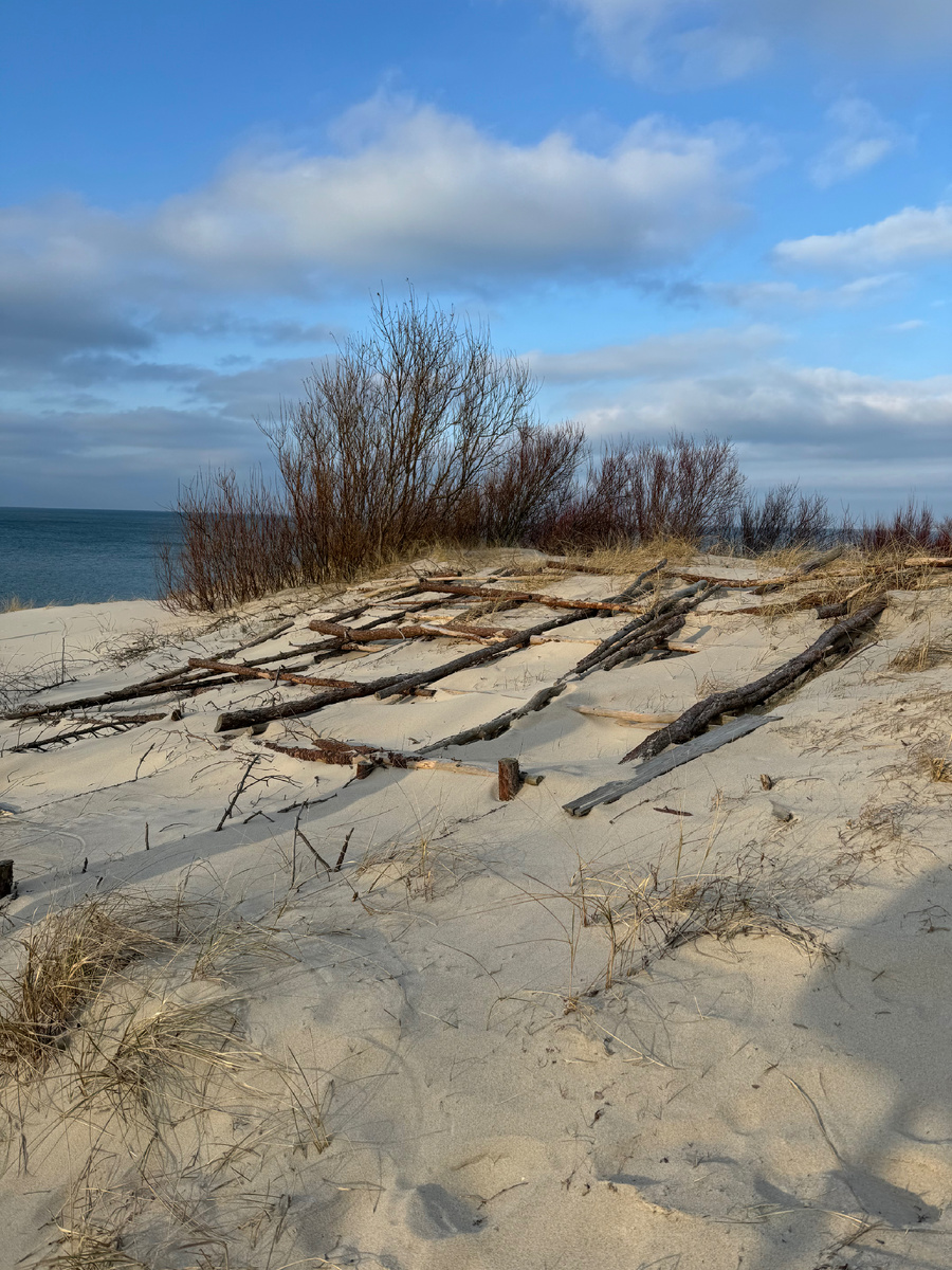 Куршскую косу в Калининградской области спасли изобретатели