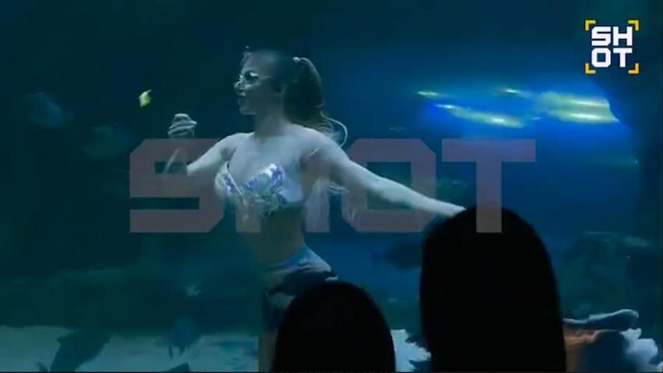 Фото: телеграм-канал SHOT