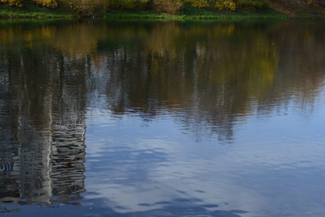     Фото: pxhere.com