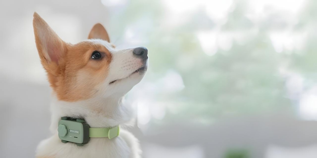 PetPhone: uCloudlink представила «смартфон» для домашних питомцев  