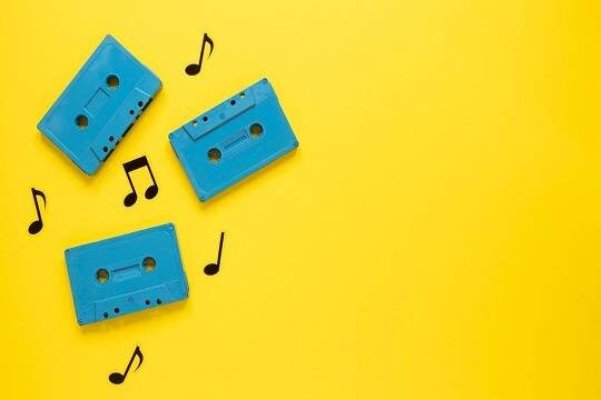    Киев не нашел правовых оснований для запрета песен на русском языке