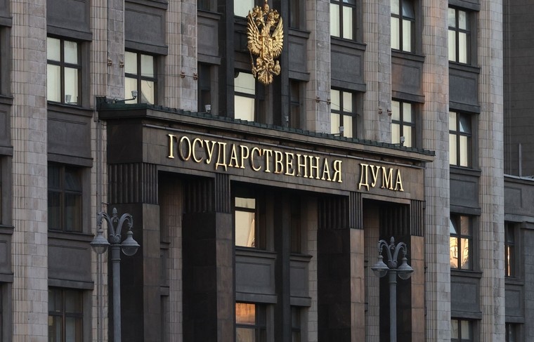    Наталья Шатохина/NEWS.ru