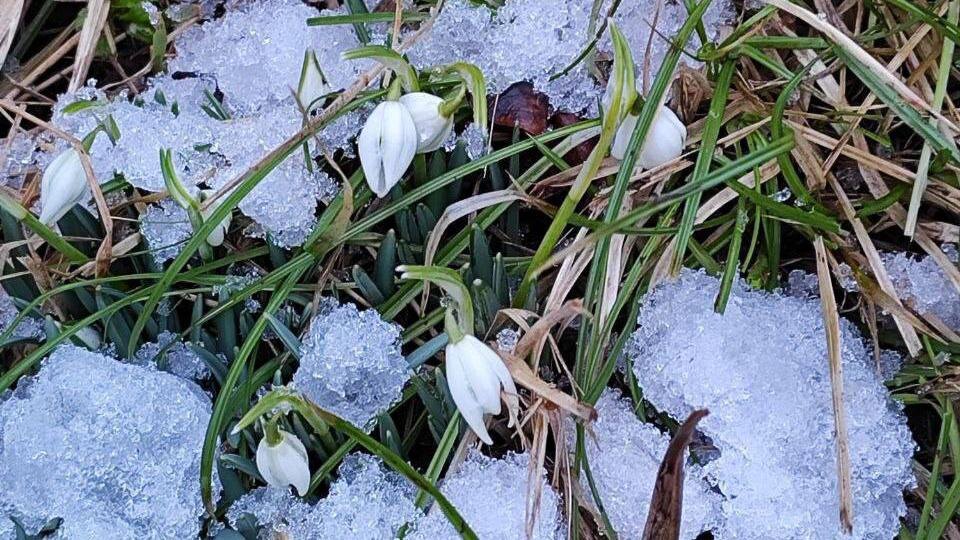    Фото: t.me/drozdenko_au_lo