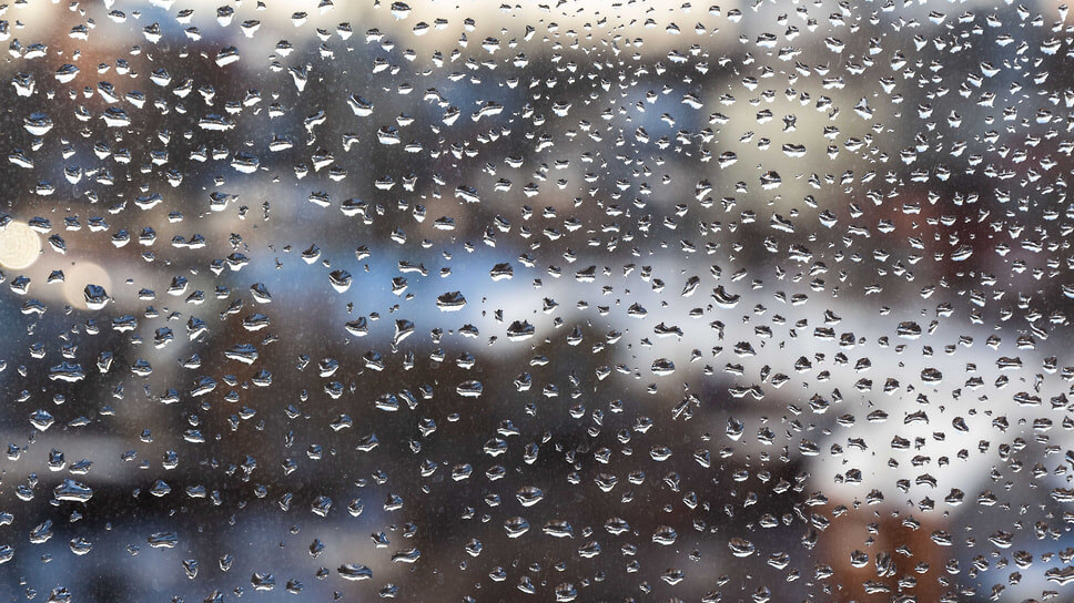 Фото: Константин Франовский / Коммерсантъ