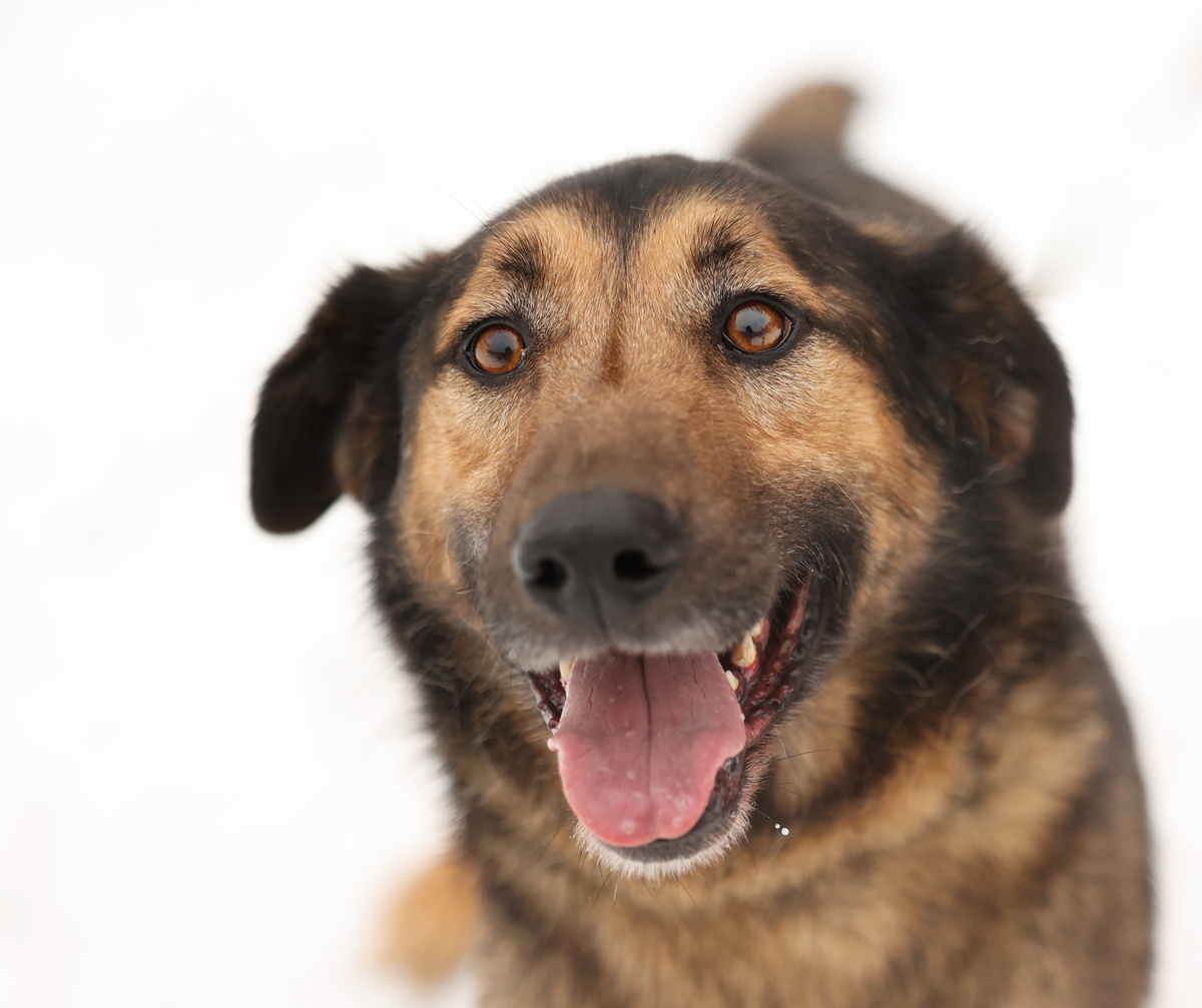 Да вот ради даже интереса приедьте ко мне. Убедитесь, что девчата не врут