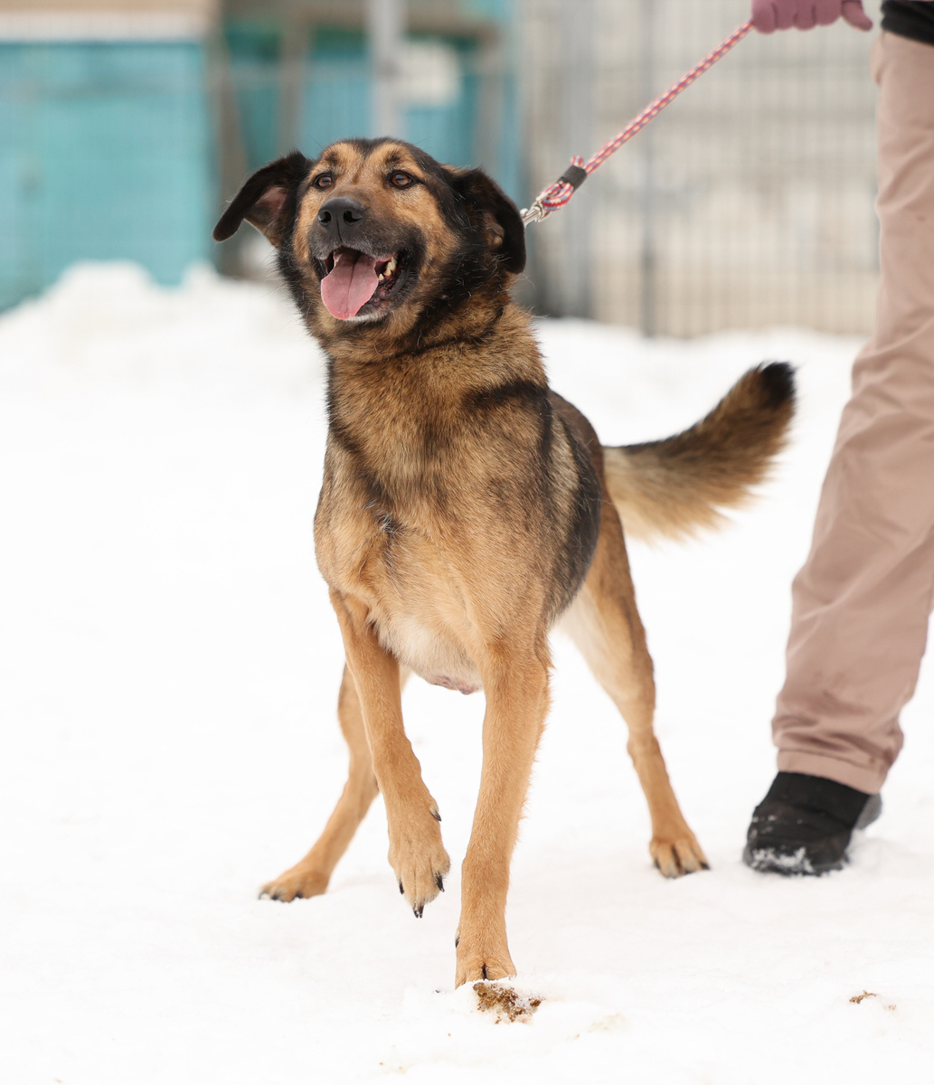 Дайте мне холст! Я вам напишу большое сердце, которое очень ждет!