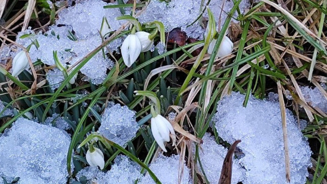 Фото: губернатор Ленинградской области Александр Дрозденко