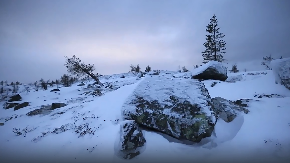 Фото: © Кадр из программы "Загадки человечества", РЕН ТВ