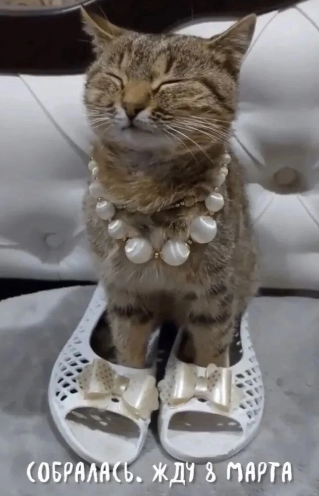 иллюстрация из яндекс картинки.