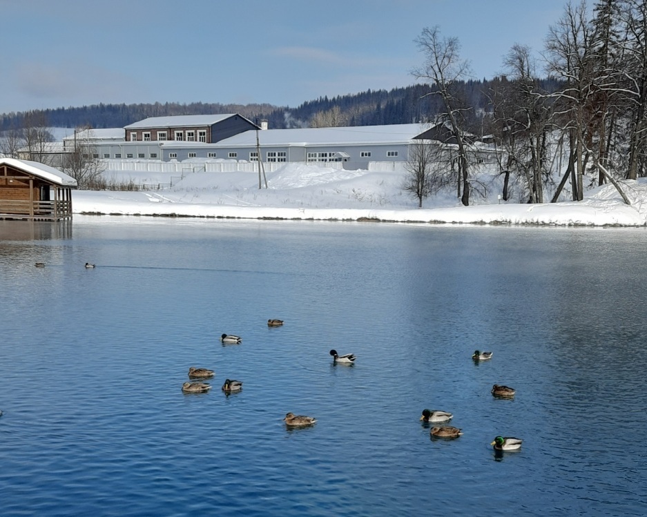 Парк "Красный ключ"