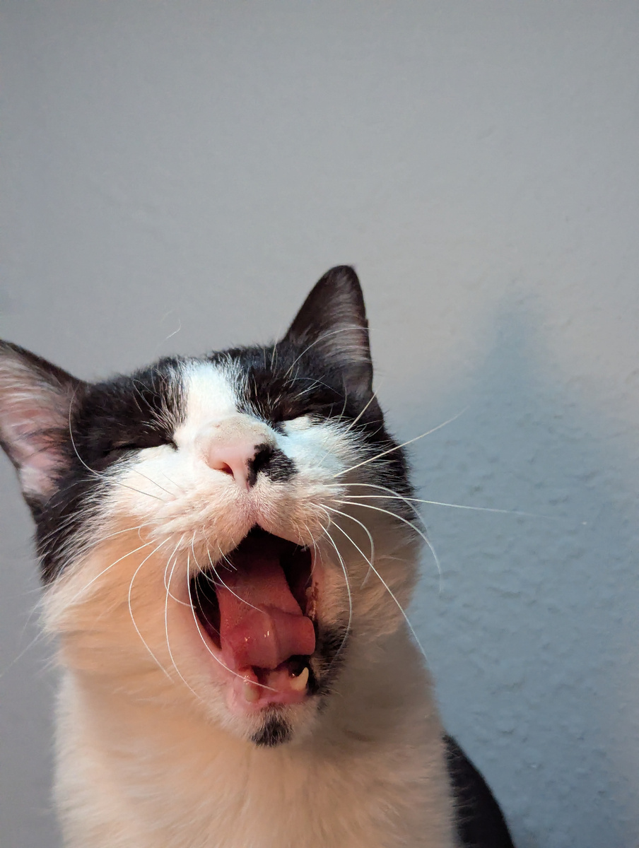 Еду хочууу, всегда!