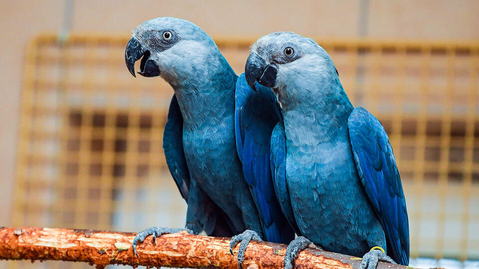 Фото: © Global Look Press/Patrick Pleul/ZB