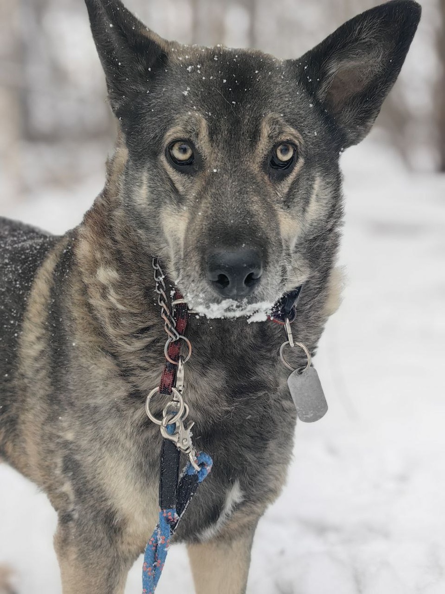 Говорят у меня кошачьи глаза, может и так. Но душа у меня точно кошачья