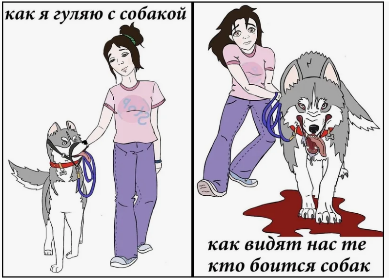 Рисунок из Интернета. К сожалению, автора не знаю. Спасибо ему за иллюстрации!