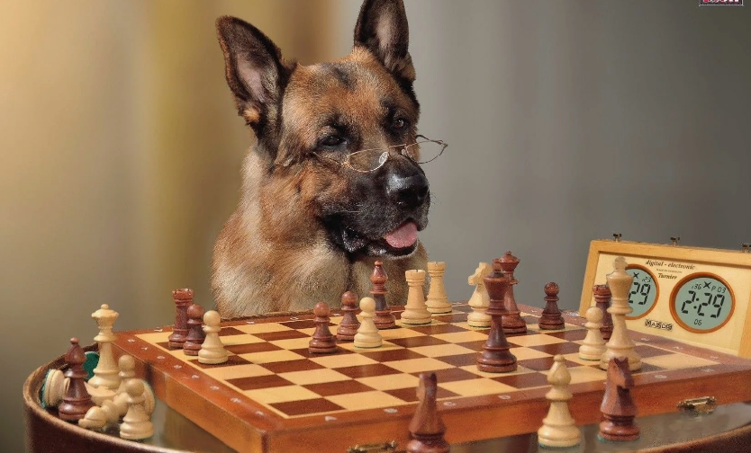 Фото с сайта ru.pinterest.com