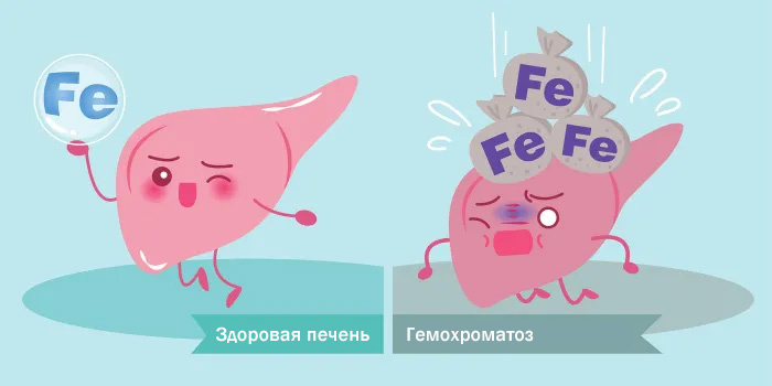 Чем опасен избыток железа?