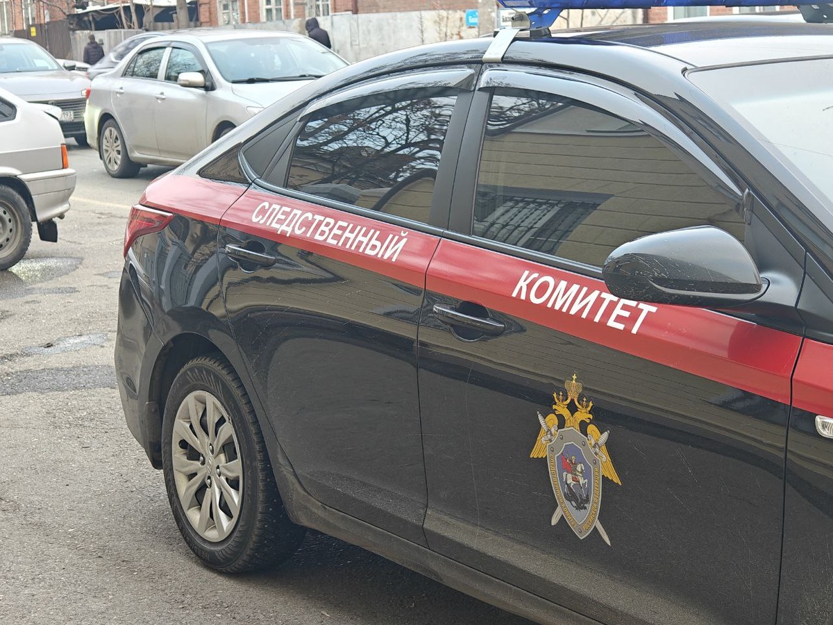    Фото: Юрий Серебренников/BFM Кубань