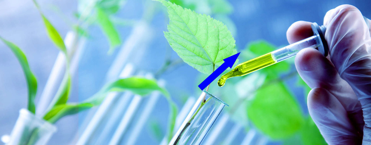    Генная инженерия в будущем человечества