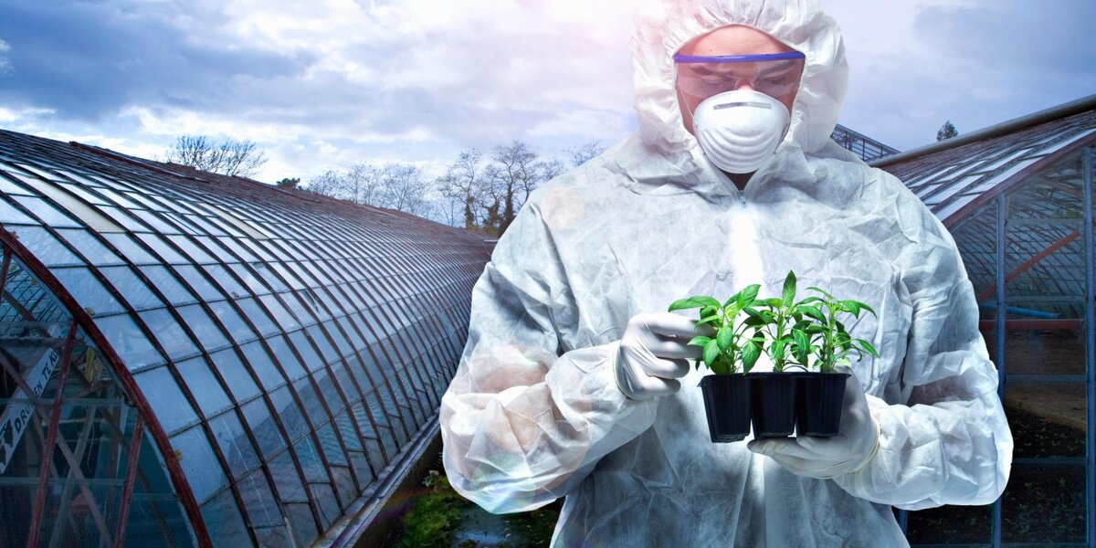    Генная инженерия в будущем человечества