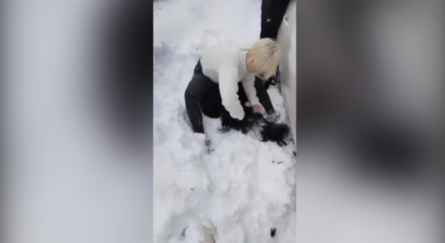    Фото: скриншот видео из Telegram-канала «Инцидент России»