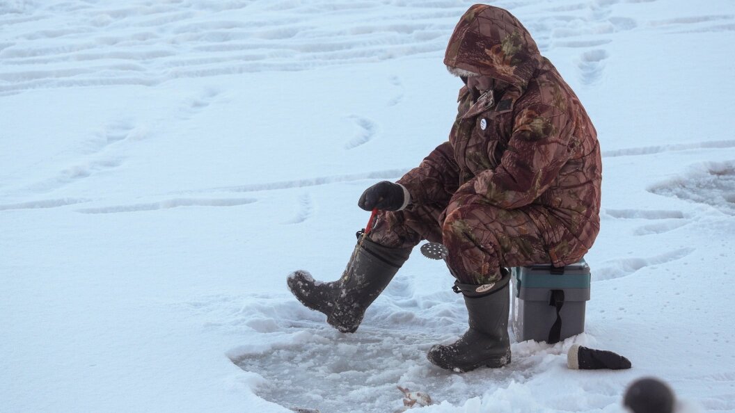    фото: Bulkin Sergey/news.ru