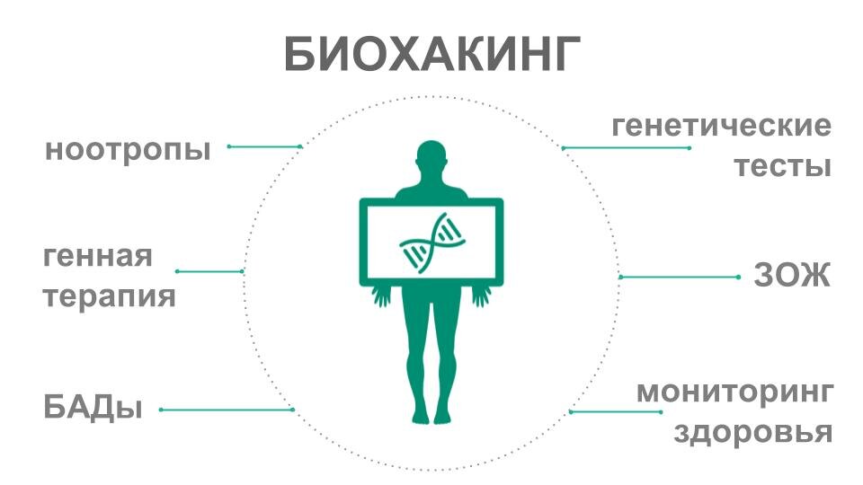      Биохакинг как средство улучшения производительности организма Nikita