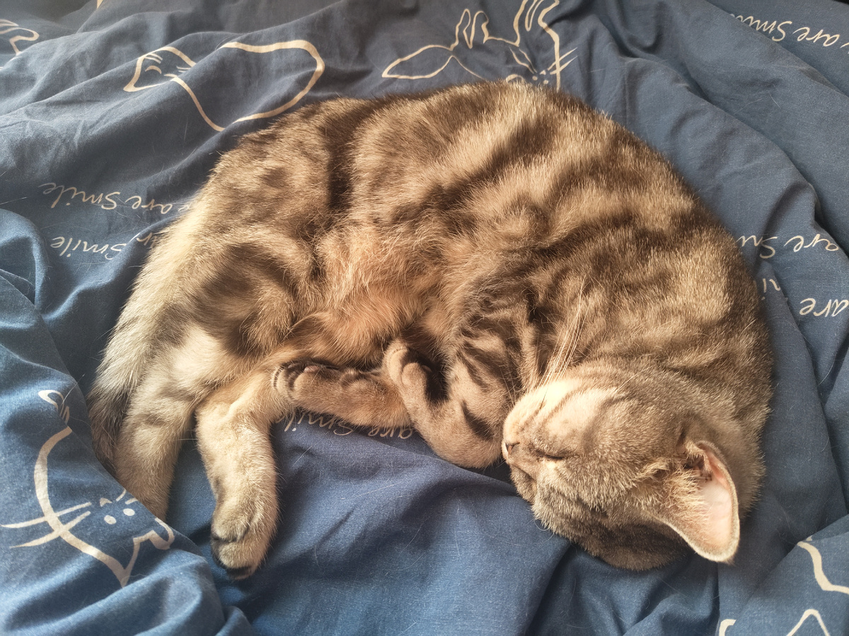 Утомлён стартами