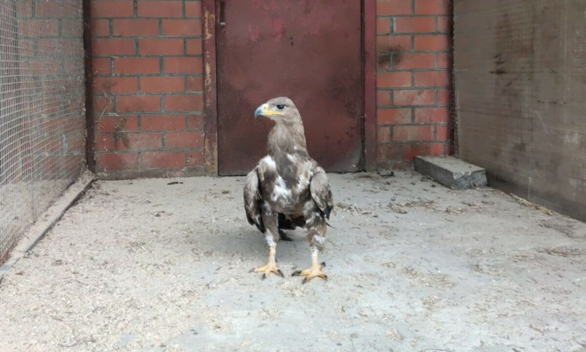    Фото t.me/rosprirodnadzor_yuzhnoye