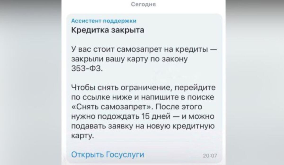     Скриншот с экрана. Источник: vestivrn.ru Автор фото: МФЦ Воронежской области