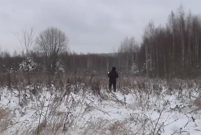 Россельхознадзор. Зарастание земель