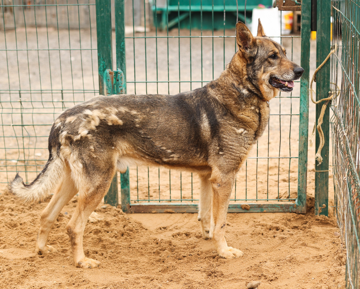 В кого я здесь превращаюсь...?