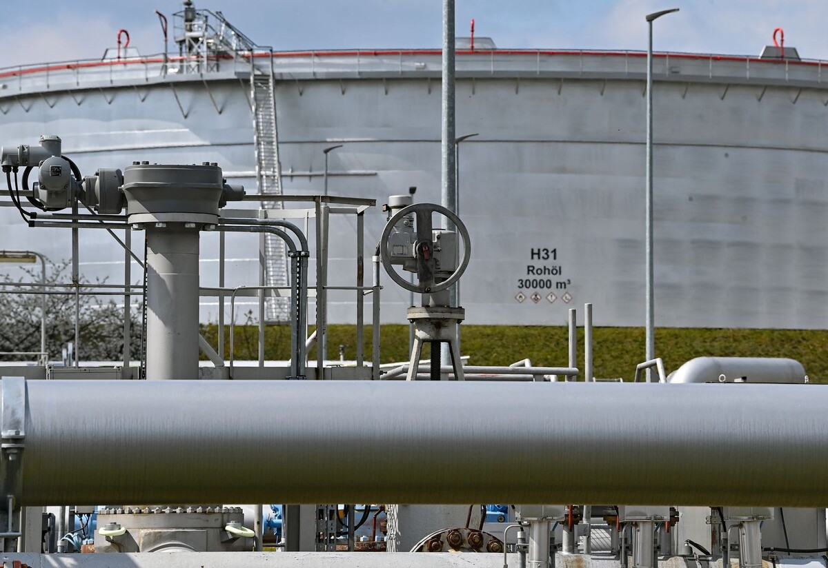     / Источник: © Patrick Pleul/dpa/picture-alliance/TASS