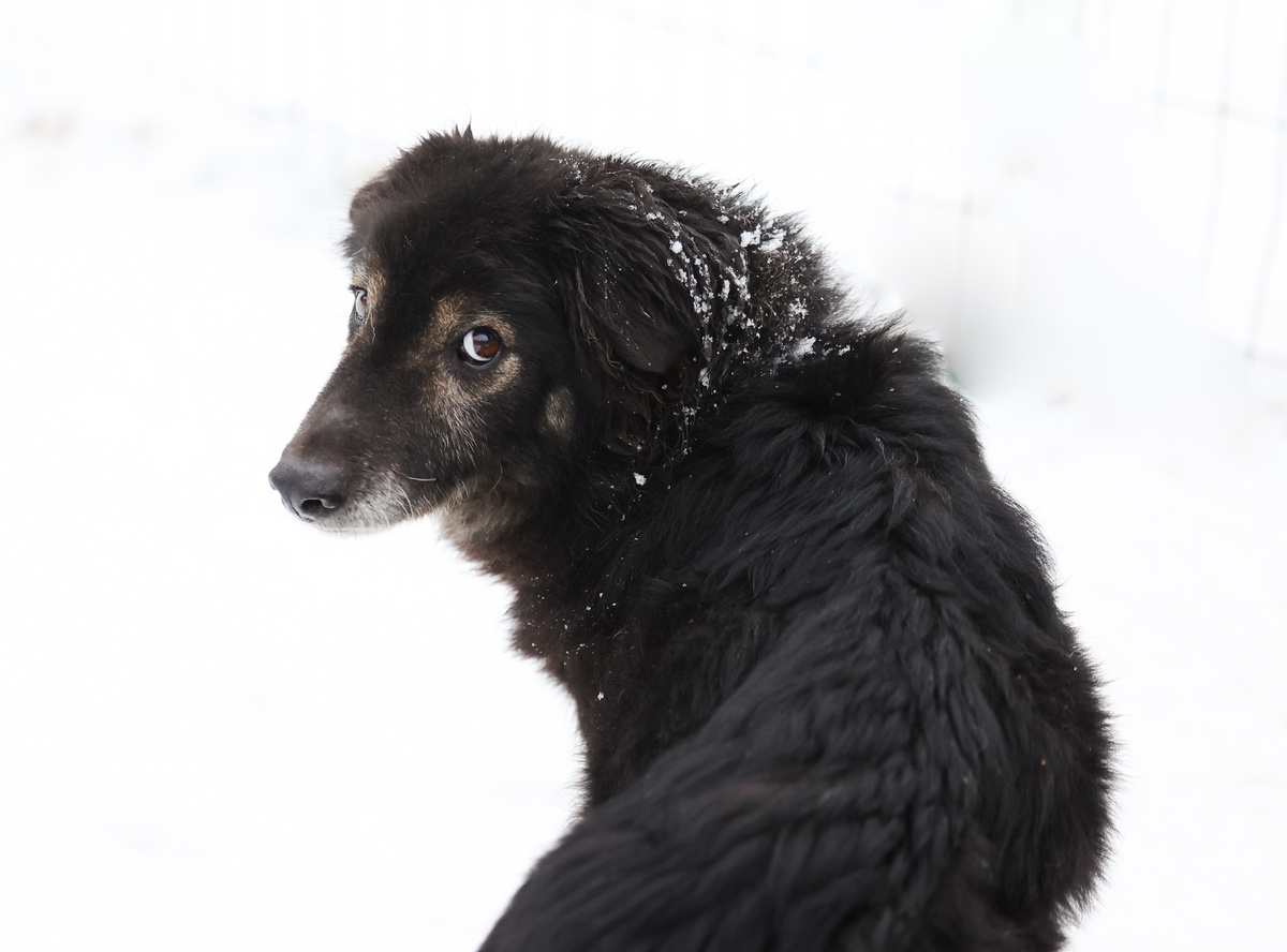 Даже вспоминать уже об этом не хочу...
