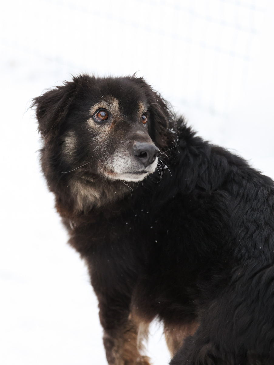 Ты меня здесь оставишь?