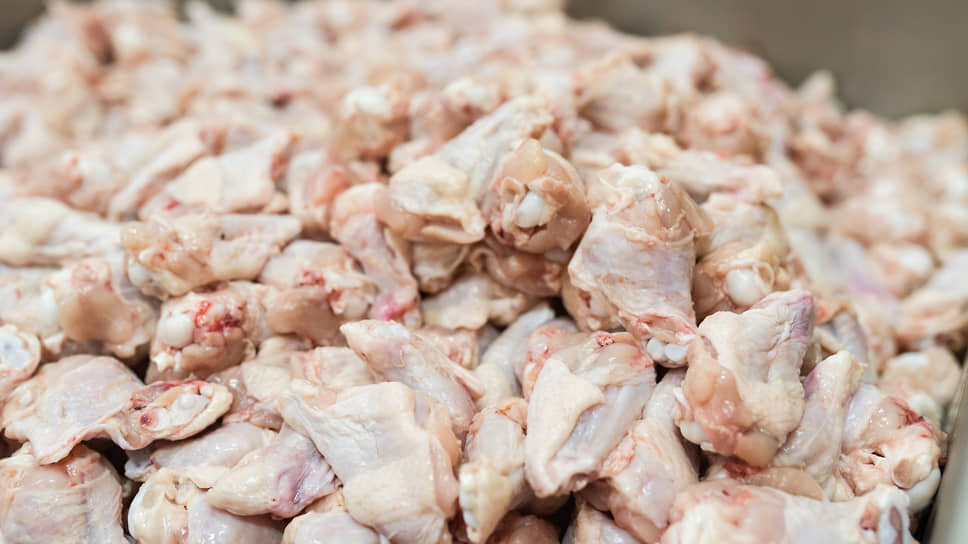 Фото: Олег Харсеев / Коммерсантъ