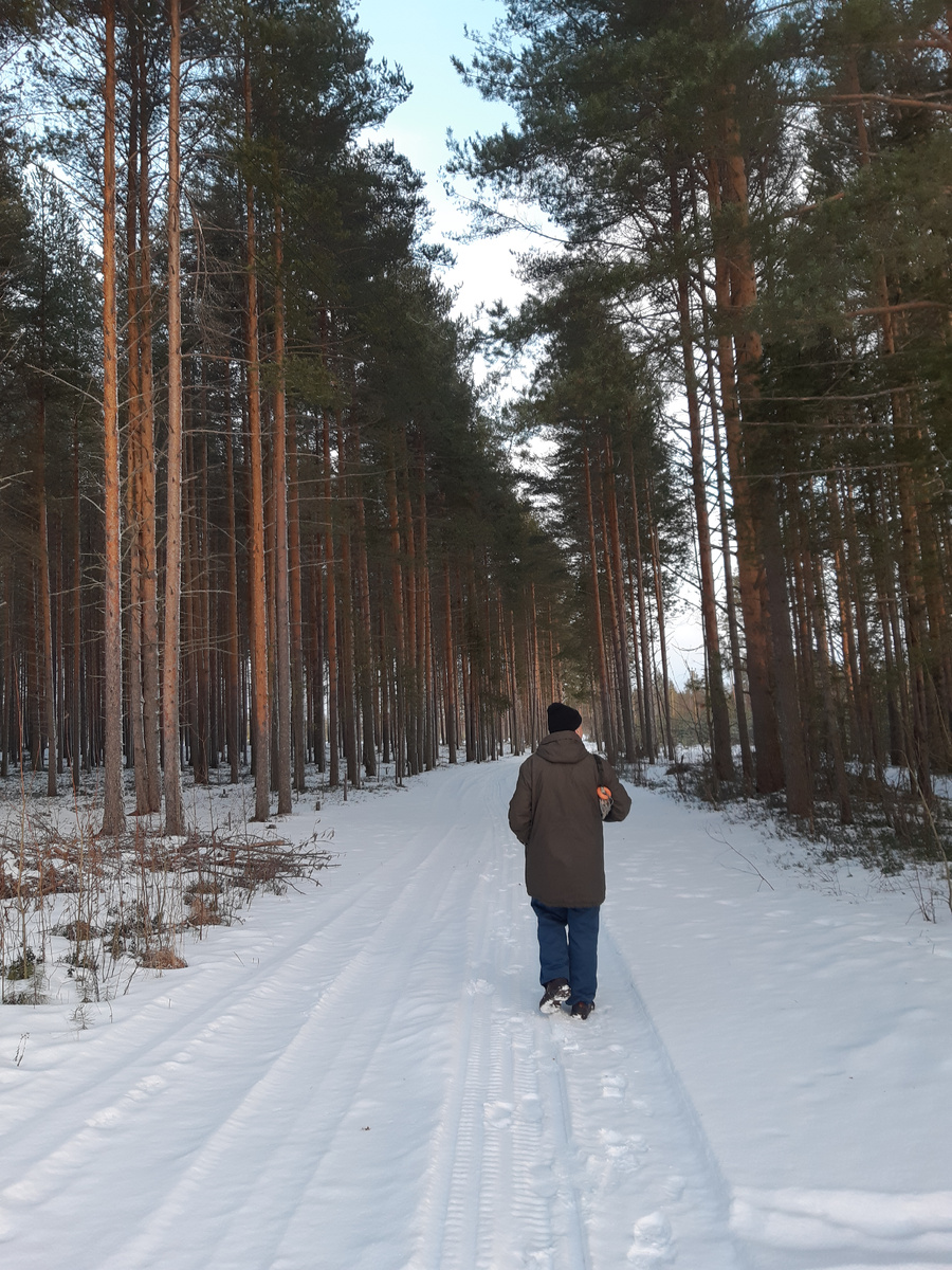 Ключница Анисья.