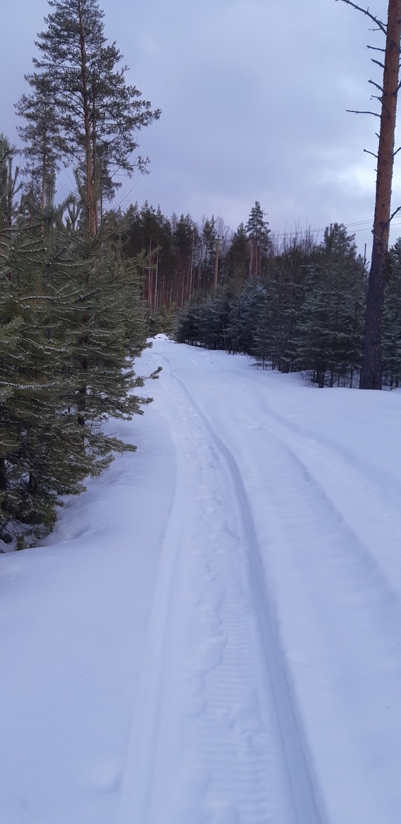 До весны - как до Пекина.