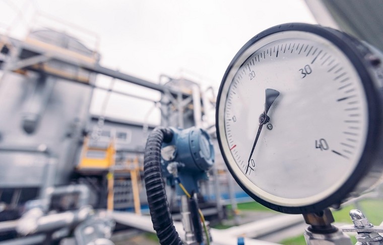    Shutterstock/FOTODOM