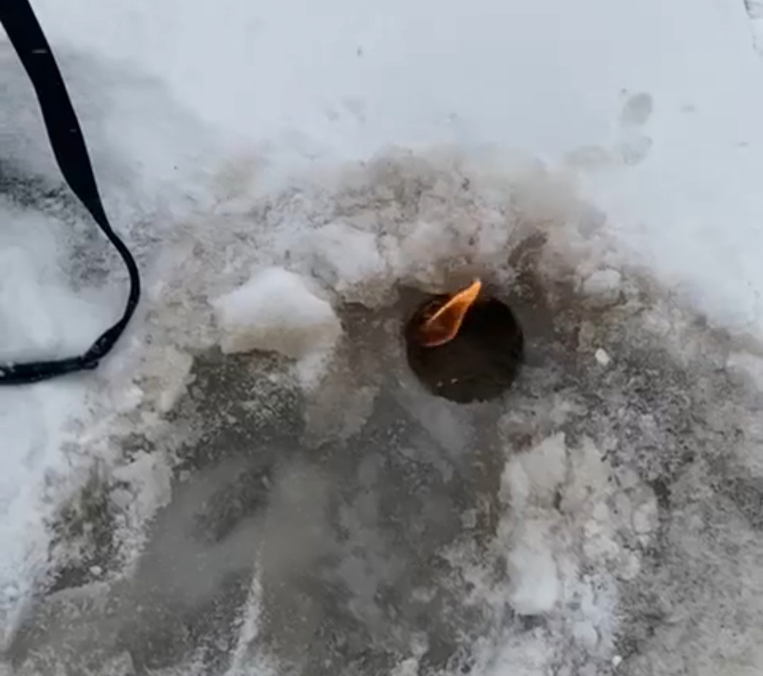 
Фото: «Подслушано честных рыбаков | Владимир»