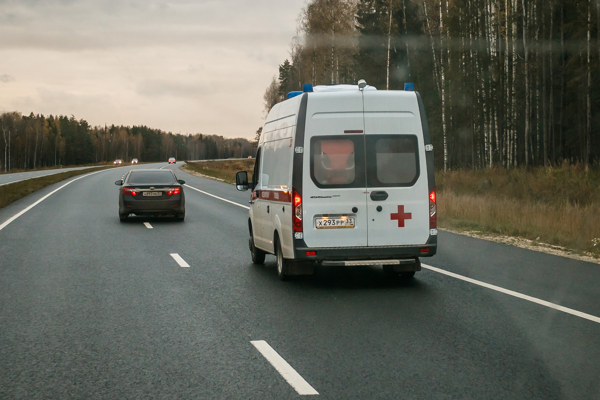 Фото Владимира Чучадеева.