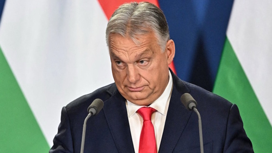    Орбан обратится с вопросом к Макрону из-за помощи ЕС Украине Виктория Шварц