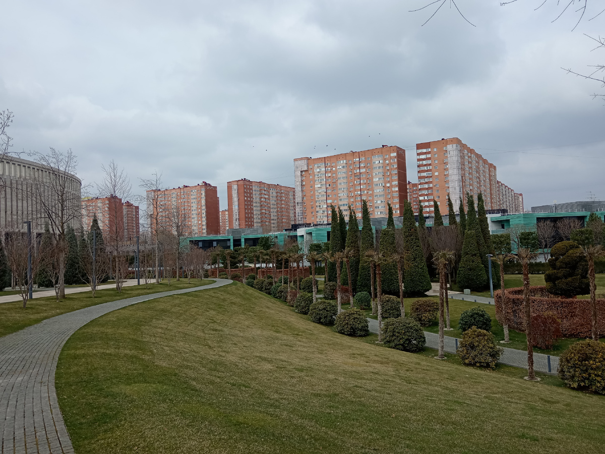 Фото: ЖК "Панорама" со стороны парка
