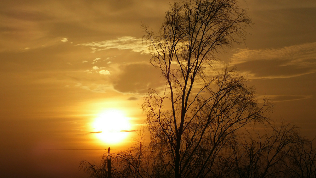    Фото: Victor Lisitsyn/Global Look Press/Globallookpress