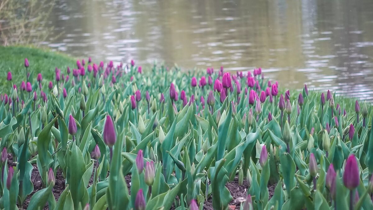     Источник: 1MI