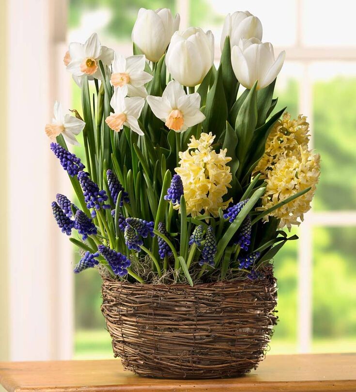 из интернета