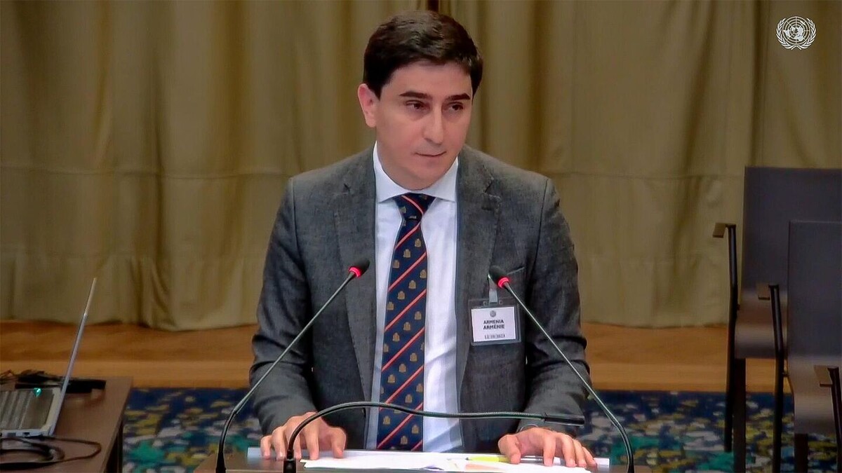 © Photo : Screenshot / UN TV