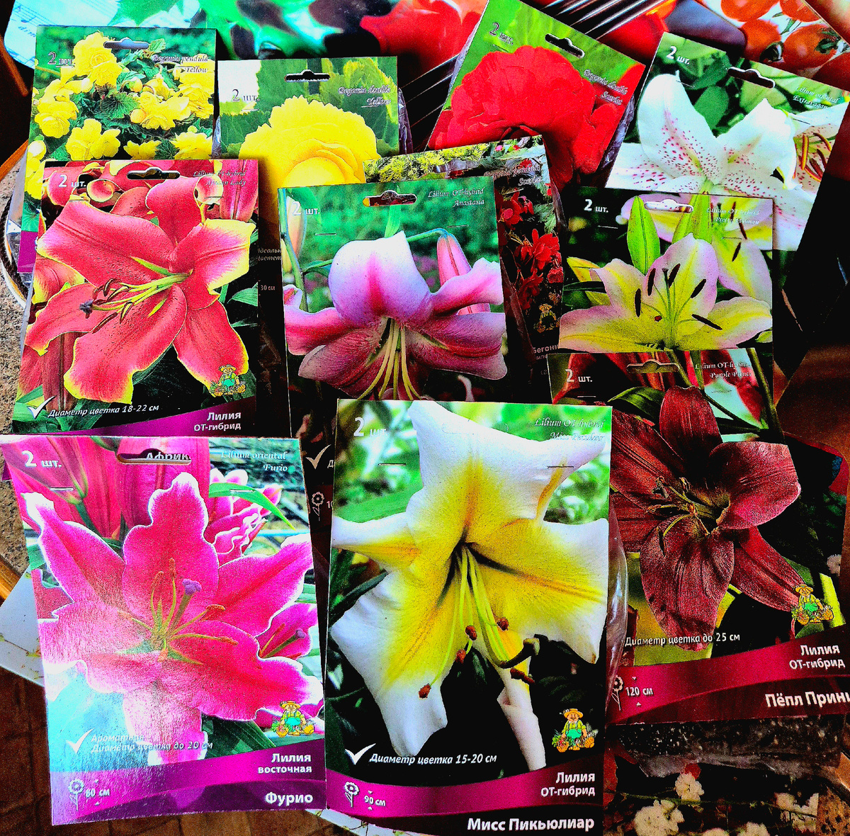 Лилии... приехали очень рано (это небольшая часть партии, просто не стала эту груду демонстрировать, на самом деле их много, как-то я "оторвалась"), надеюсь сохраню🤷‍♀️