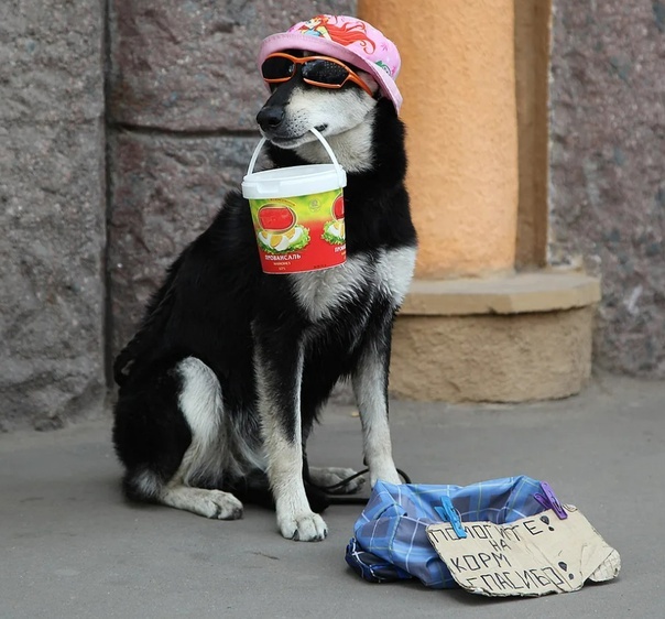 Фото: sun9-32.userapi.com