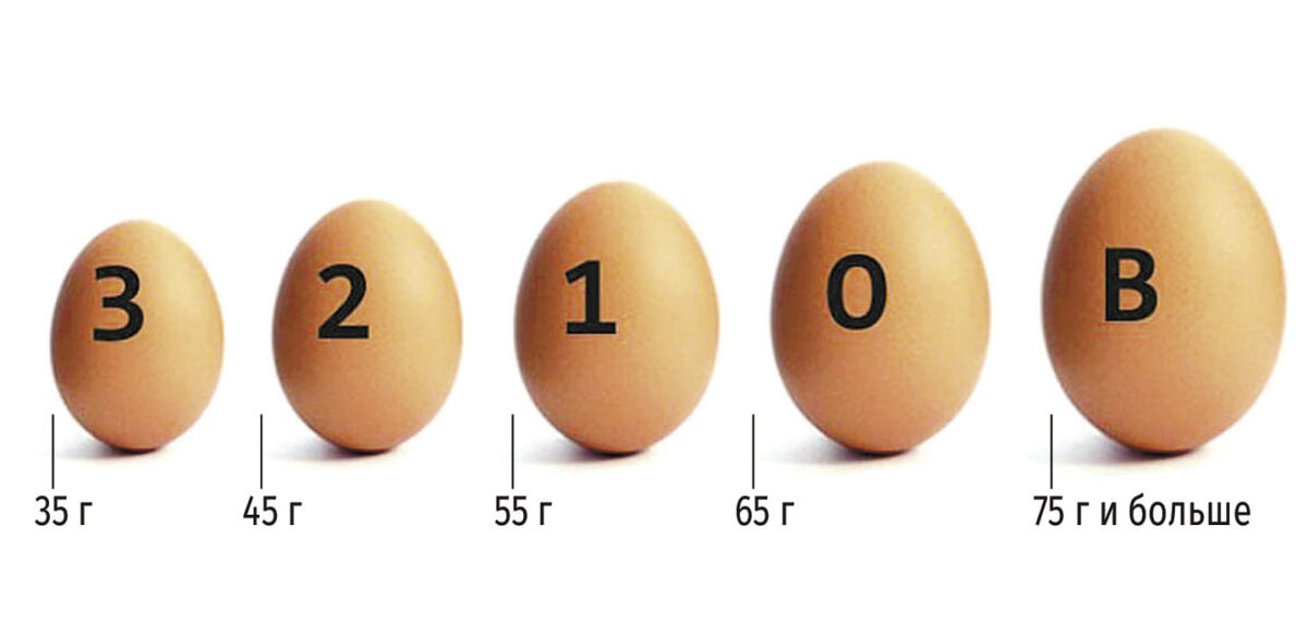 Категории яиц определяются двумя факторами: свежестью и весом