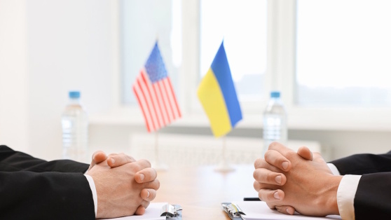    В офисе Зеленского анонсировали встречу команд США и Украины в ближайшее время Виктория Шварц